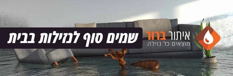 איתור ברור מומחים לאיתור נזילות בישראל